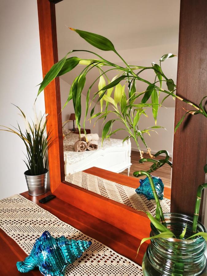 Charming Portuguese Style Apartment, For Rent "Vida A Portuguesa", "Amendoa Or Limao" Alojamento Local ポルティマン エクステリア 写真